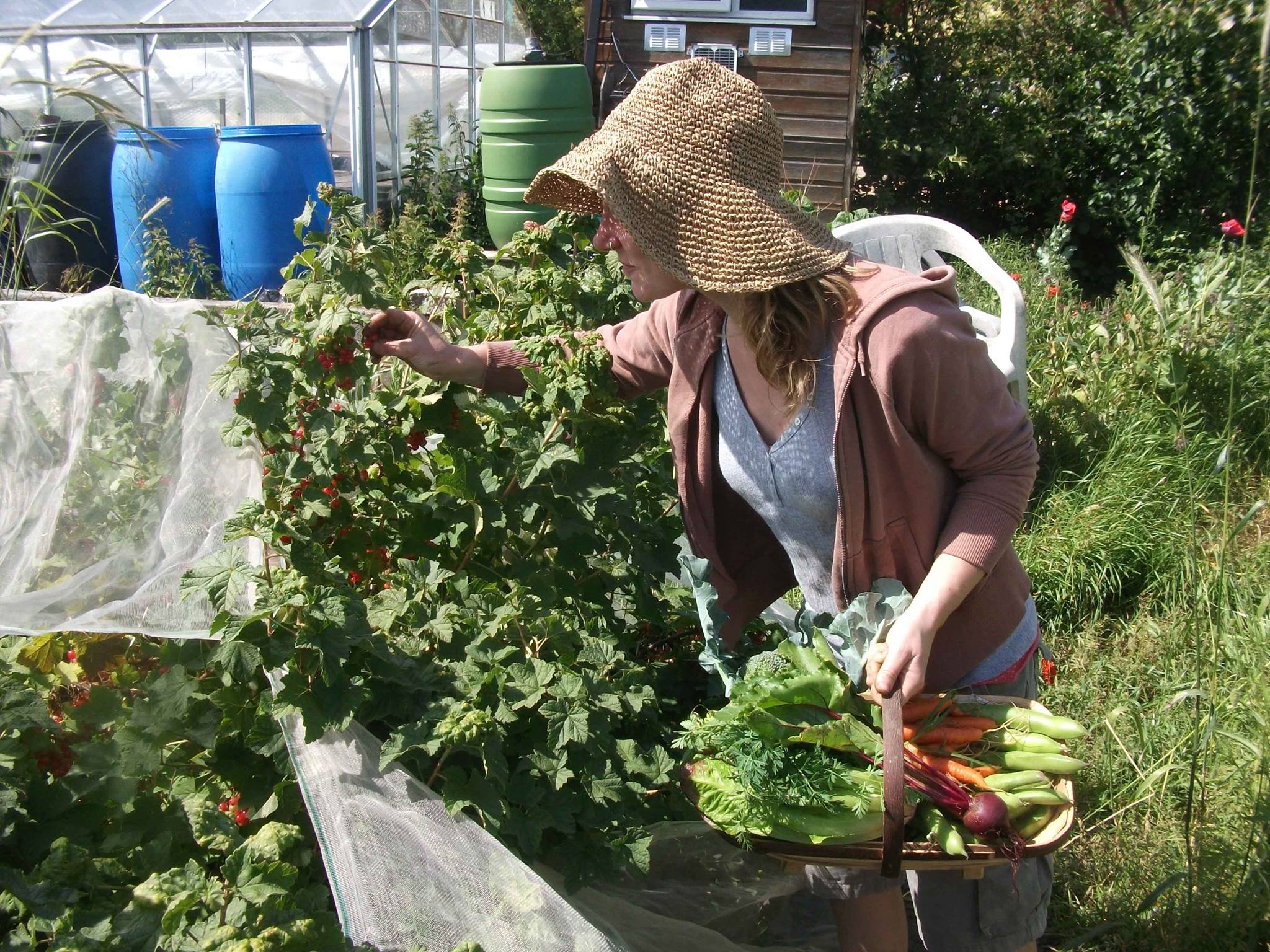 Culberry Nursery