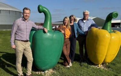 Brinsbury College Engagement